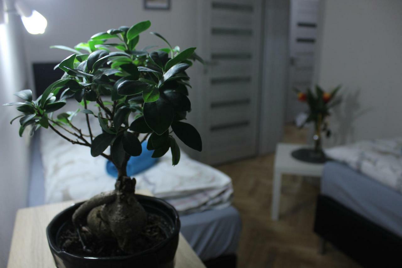 Apartamento Kotlarska